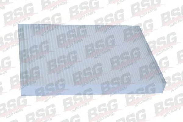 BSG 60-145-001 BSG Heating / Ventilation Filter, interior air