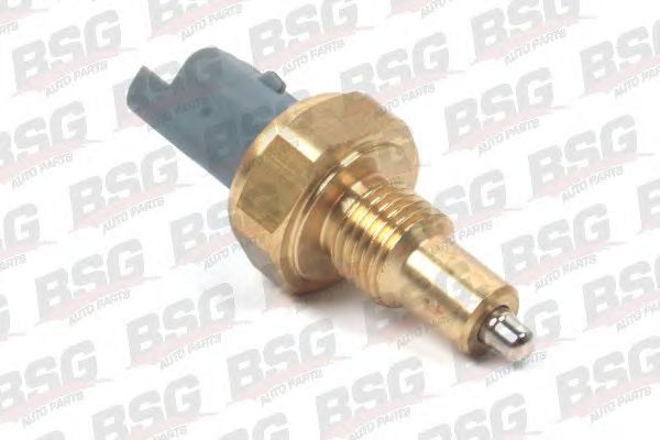 BSG 70-840-002 BSG Switch, reverse light