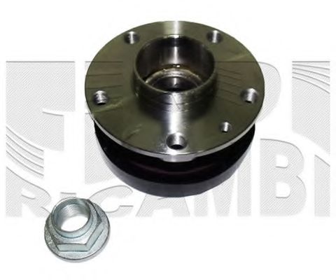 RC0629 CALIBER Wheel Bearing Kit