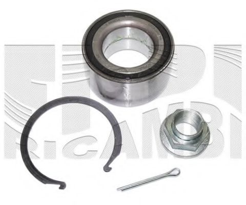 RC2667 CALIBER Wheel Bearing Kit