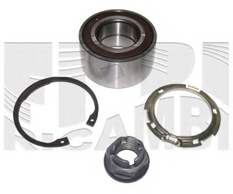 RC3099 CALIBER Wheel Bearing Kit