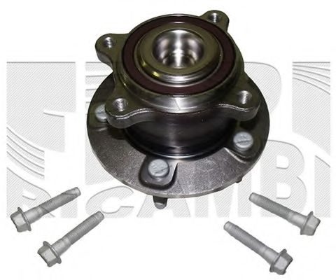 RC4502 CALIBER Wheel Suspension Wheel Bearing Kit