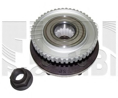 RC6002 CALIBER Wheel Bearing Kit