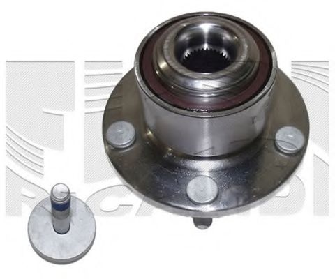 RC7879 CALIBER Wheel Suspension Wheel Bearing Kit