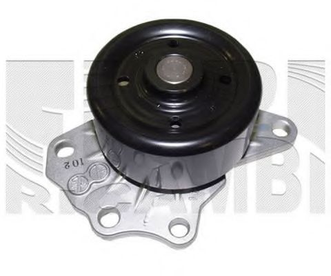 WPC307 CALIBER Water Pump