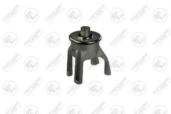 FZ90579 FORTUNE+LINE Engine Mounting