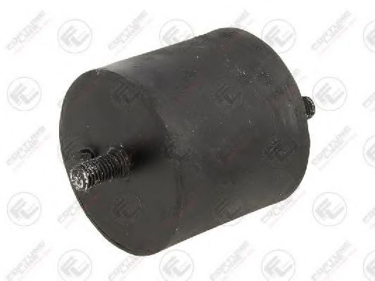 FZ91253 FORTUNE+LINE Engine Mounting