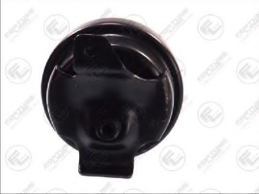 FZ9919 FORTUNE+LINE Engine Mounting