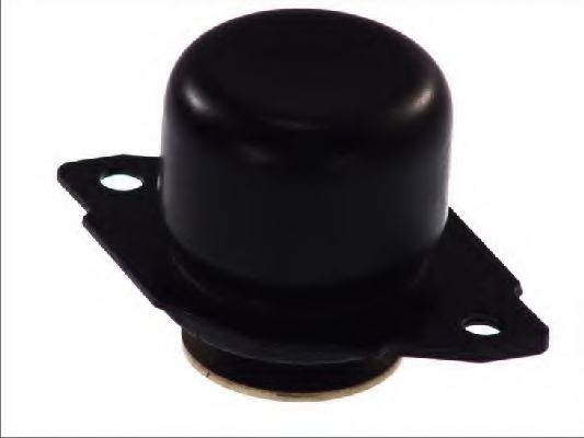 FZ9930 FORTUNE+LINE Engine Mounting
