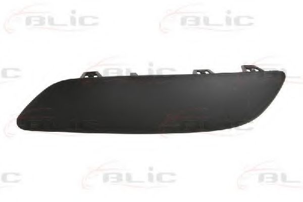 5703-05-5514925P BLIC Trim/Protective Strip, bumper