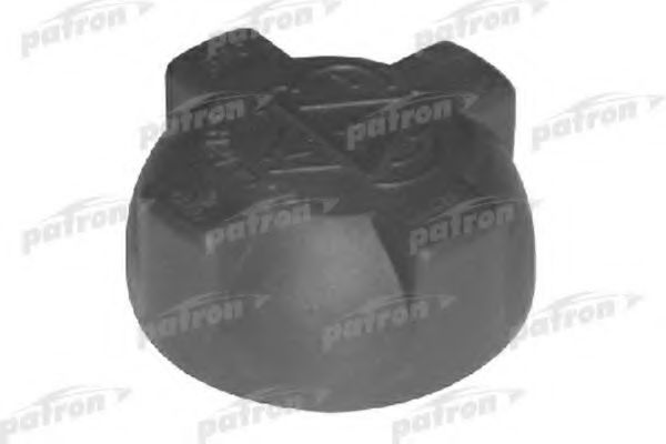 P16-0001 PATRON Cap, radiator