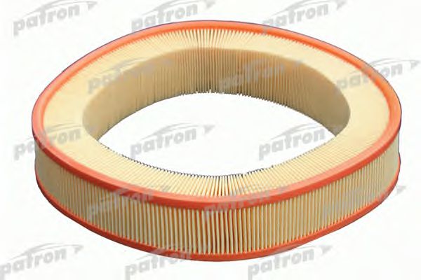 PF1060 PATRON Air Filter