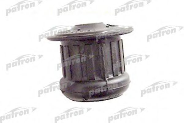 PSE3002 PATRON Lagerung, Motor