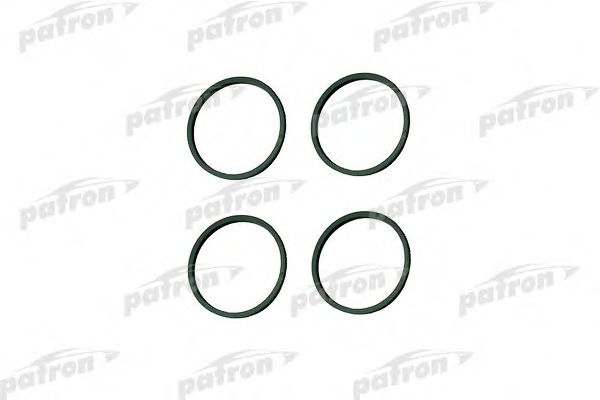 PG5-1016 PATRON Cylinder Head Gasket, intake manifold