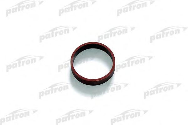 PG5-1031 PATRON Cylinder Head Gasket, intake manifold