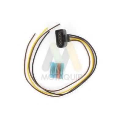 LVCL1197 MOTAQUIP Plug, coil