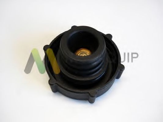 LVCR330 MOTAQUIP Cap, radiator