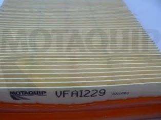 VFA1229 MOTAQUIP Air Filter