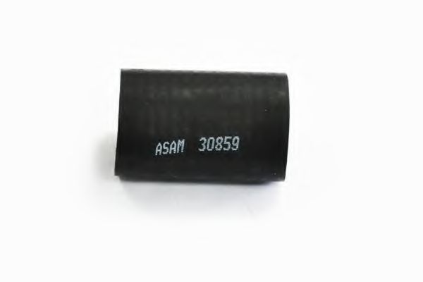 30859 ASAM Intercooler, charger