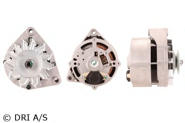 DRI 225101552