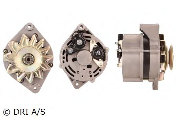 DRI 228113552