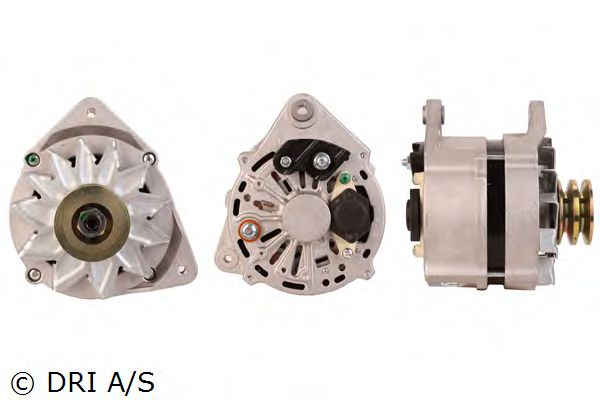 DRI 219106702