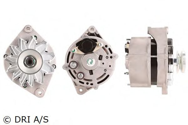 DRI 228111702