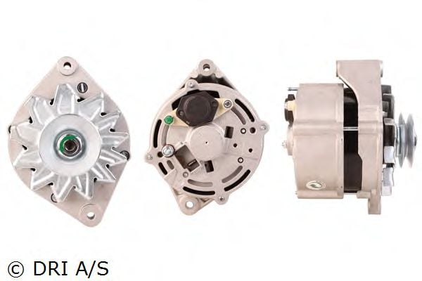 DRI 228108652