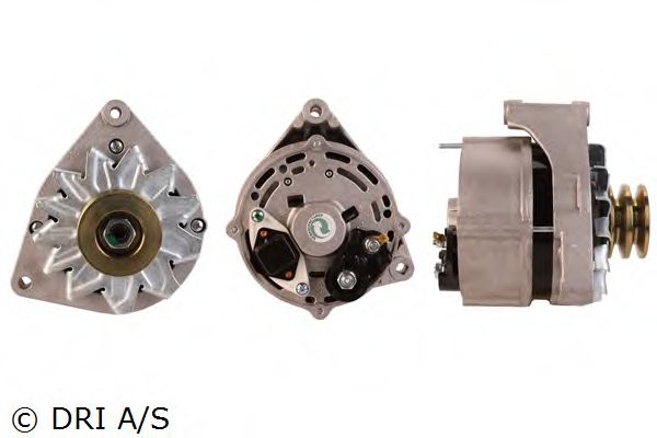 DRI 238125652