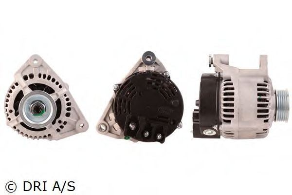 DRI 219.137.702