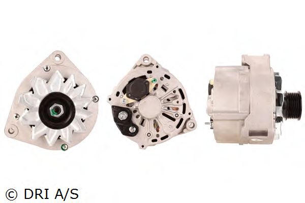 DRI 2251151002