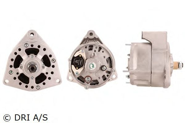 DRI 525.101.304