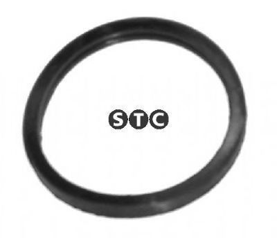 T402351 STC Gasket, thermostat