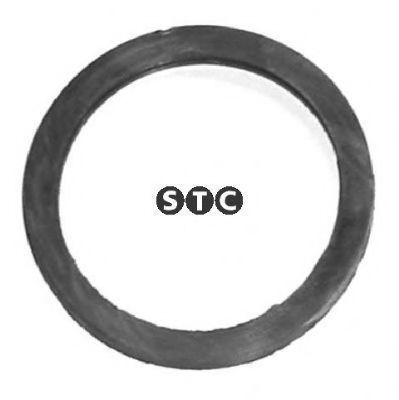 T402362 STC Gasket, thermostat