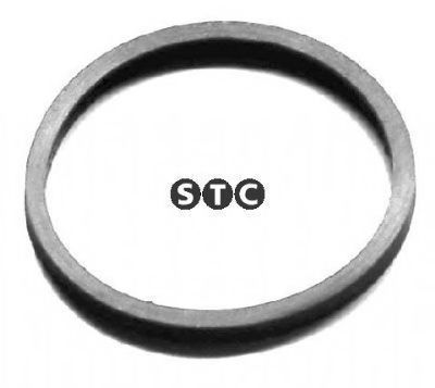 T402404 STC Gasket, thermostat
