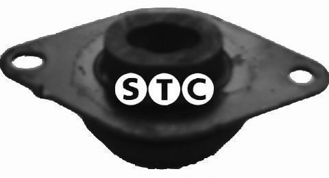 T404462 STC Lagerung, Motor