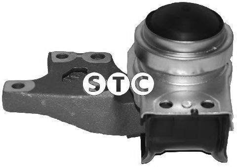 T404763 STC Lagerung, Motor