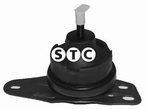 T404806 STC Lagerung, Motor