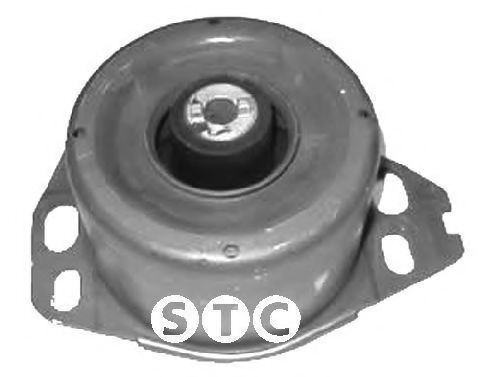 T405536 STC Lagerung, Motor