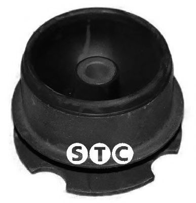 T405611 STC Lagerung, Motor