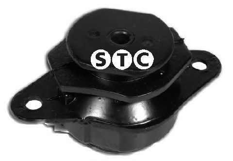 T405617 STC Lagerung, Motor