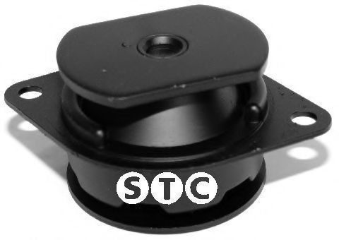 T405618 STC Lagerung, Motor