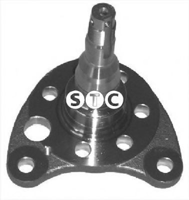 T490542 STC Stub Axle, wheel suspension