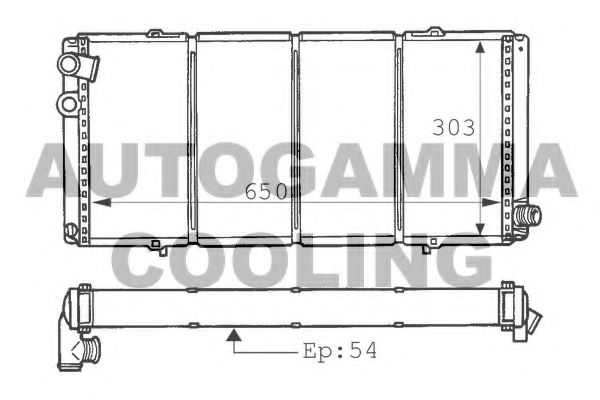 100745 AUTOGAMMA Expansion Tank, coolant