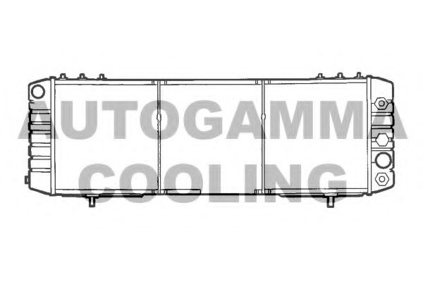 101210 AUTOGAMMA Suspension Coil Spring