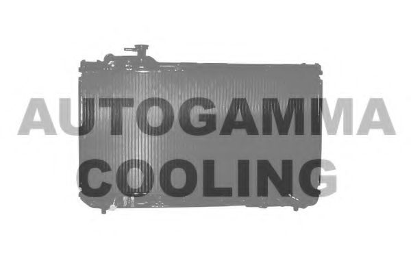 101438 AUTOGAMMA Engine Timing Control Exhaust Valve