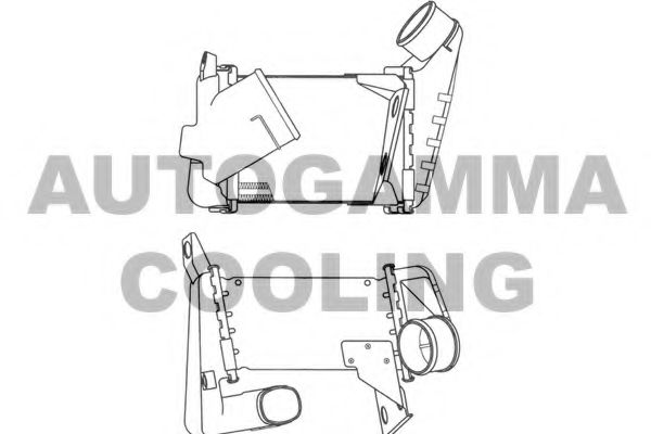 101960 AUTOGAMMA Brake System Wheel Brake Cylinder