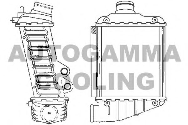101964 AUTOGAMMA Brake System Wheel Brake Cylinder