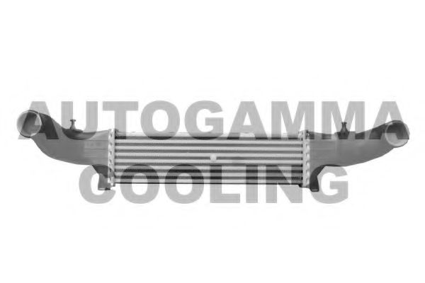 102017 AUTOGAMMA Air Supply Intercooler, charger