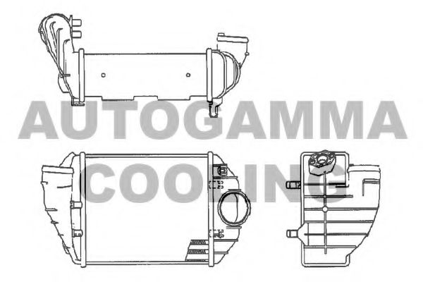 102535 AUTOGAMMA Brake Master Cylinder
